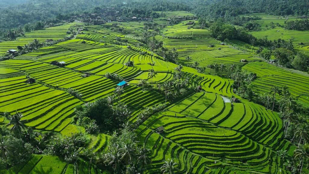bali-rice-terrace le risaie di jatiluwih, patrimonio dell'Unesco