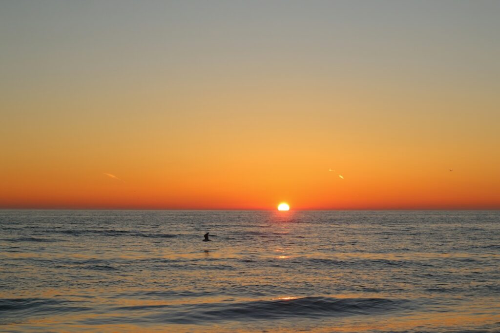 california-san-diego-coronado-tramonto Tramonto da sogno sulla spiaggia di Coronado a San Diego