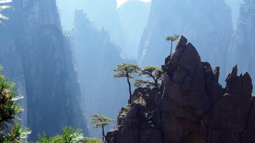 huangshan-albero Panorami fiabeschi nelle Huagshan Mountains