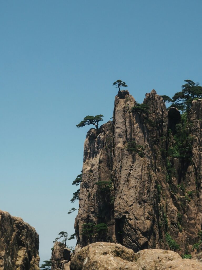 huangshan-rocce Alberi appesi alle roccie nelle Huagshan Mountains
