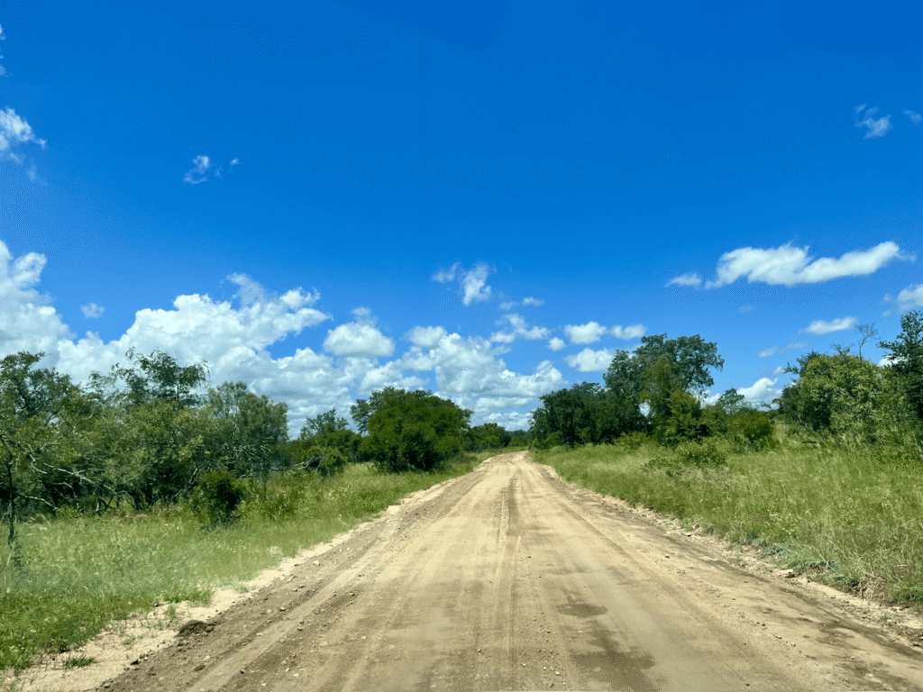kruger Strada sterrata Kruger