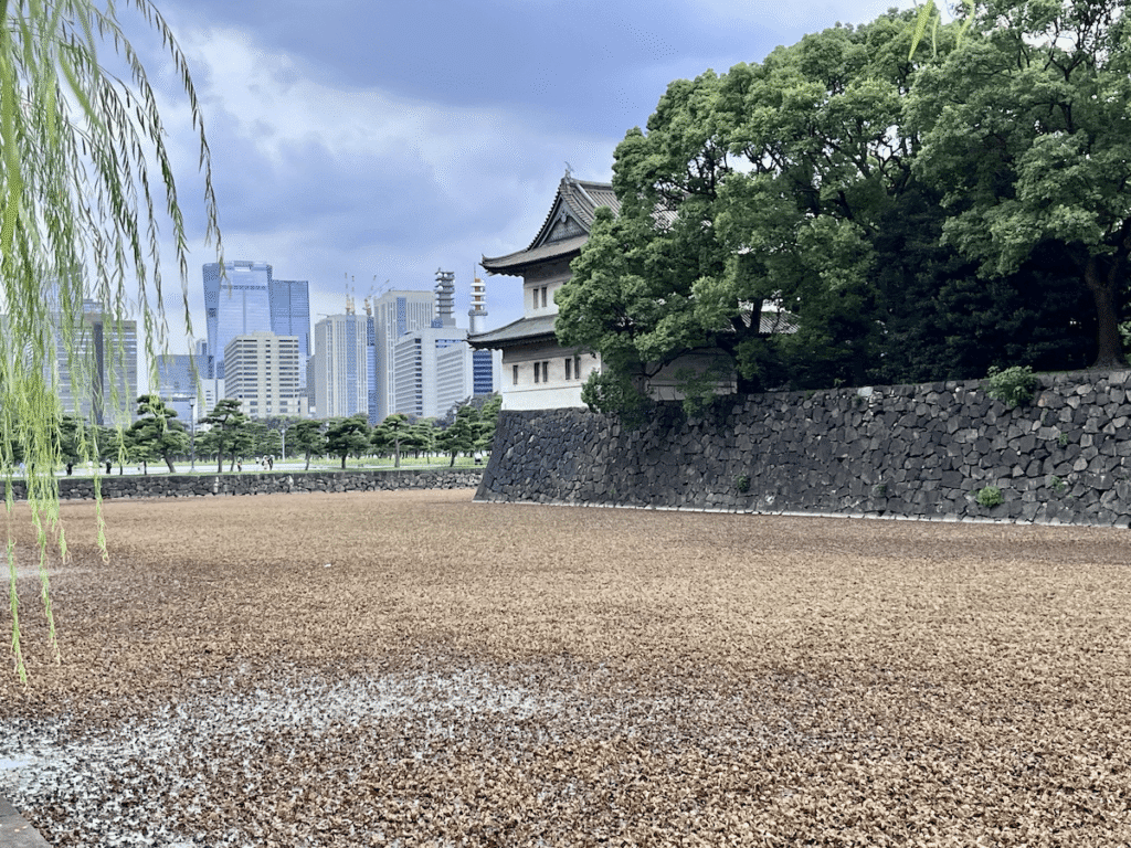 tokyo-castello-palazzo-imperiale Scorcio del palazzo imperiale: modernità e storia in una sola immagine