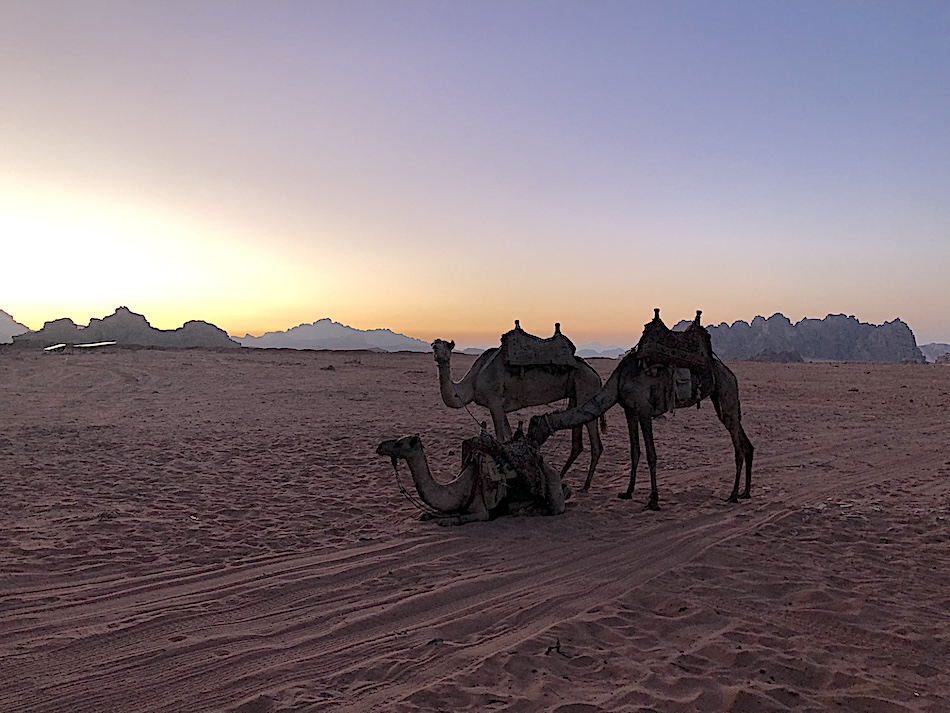 wadi-rum-tramonto Cammelli al tramonto nel Wadi Rum