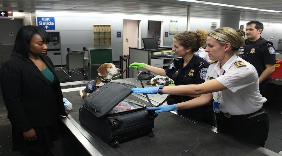 esta ESTA e border control