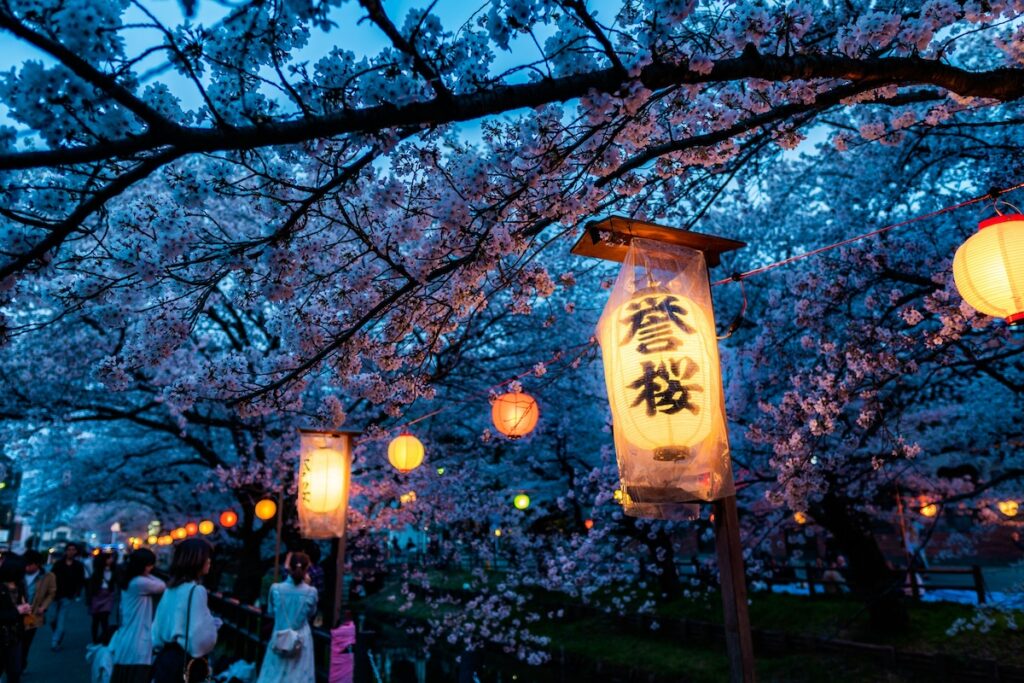 hanami-giapponese hanami e lanterne in giappone