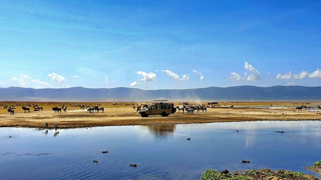 lago Lago nella savana africana