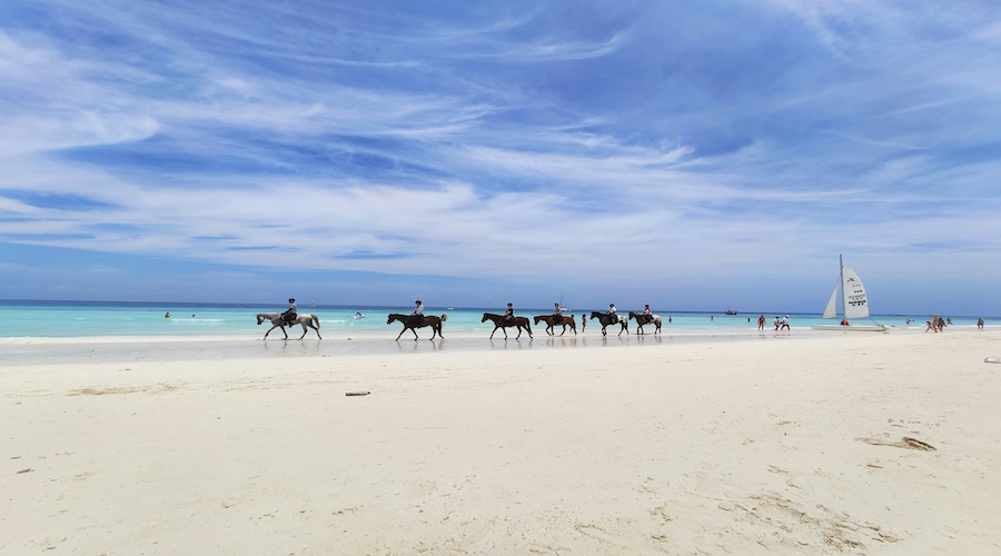 zanzibar6 cavalli al galoppo sulla spiaggia di zanzibar